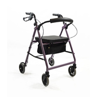 Seat Walkers Lilac