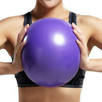 Exercise Ball Purple
